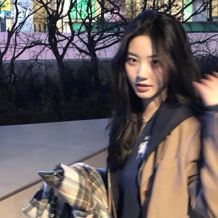 女主播风云